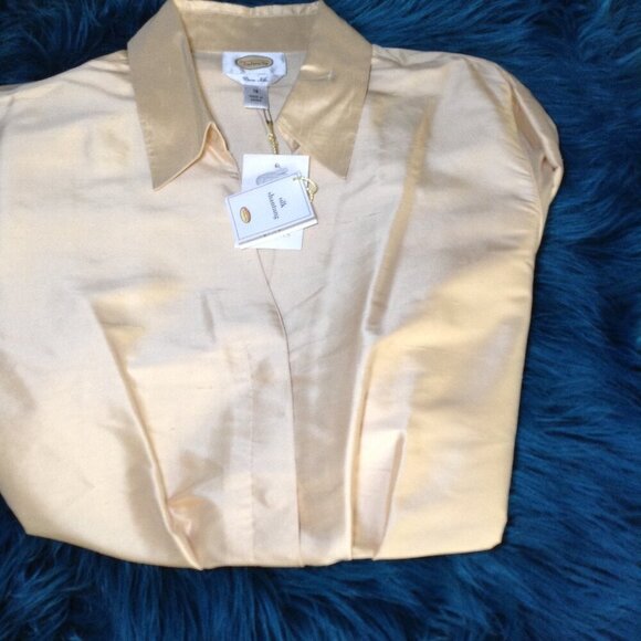 NWT Talbots Silk Shantung; "18", Luxury, Old money, Classic, NYC Uptown Girl - Picture 6 of 9